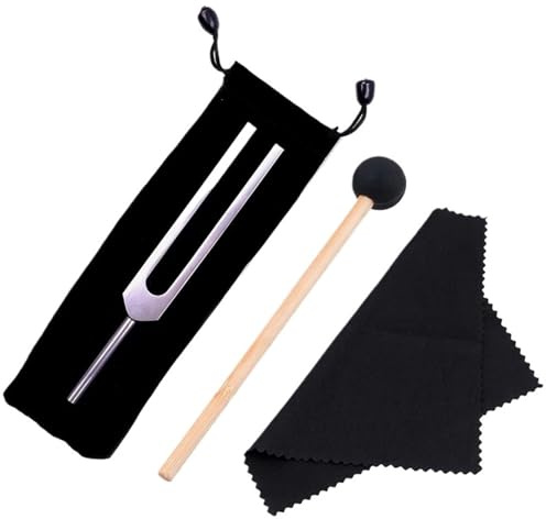 Accordeur à fourche Diapason 528HZ, accordeur avec jeu de maillets for le test du système nerveux, diapason
