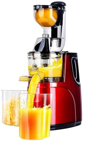 Cold Press Juicer Machine 500W - Large Diameter 7cm - 65 Rpm - 95% Juice Yield - Stop Automatically After 15 Minutes - Fruit Raw Juice Machine
