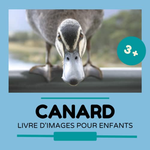 Livre d'images pour enfants - Canard: Découvrir le Canard en image - Enfants de 2 à 5 ans