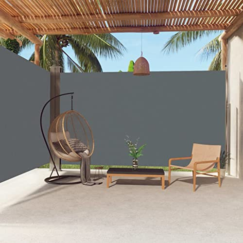 IKAYAA Toldo Lateral Retráctil, Separador de Ambientes Exterior, Tela Toldo Impermeable, Protección Solar, Viento, Privacidad, Toldos Exterior Terraza, Biombo Exterior - Antracita 220 x 600 cm