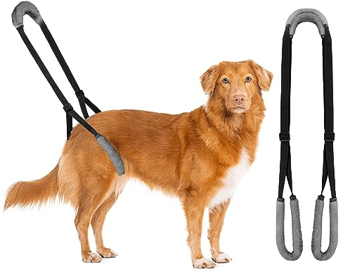 Lollanda Aide à la marche arrière pour chien - Aide au transport pour chiens âgés - Harnais pour pattes arrière - Aide à la marche pour chiens malades - Pour chiens âgés - Favorise la mobilité du