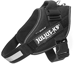 Julius K9 Hundegeschirr, Brustgeschirr reflektierend Hunde Geschirr mit personalisiertes Geschenk, benutzerdefinierter Klettsticker (M/0, Schwarz)