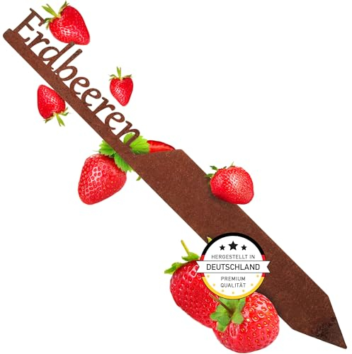 EXTRAVAGANT® Piquet de jardin « fraises » - Plaque de légumes - En métal rouillé - Résistant aux intempéries - Pour jardin, parterre de plantes, plantes, décoration de jardin