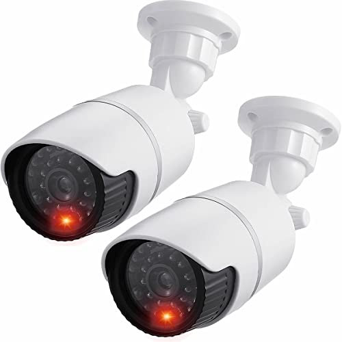 JUSTOP Lot de 2 caméras de vidéosurveillance factices avec LED clignotantes, étanches pour intérieur ou extérieur, boîtier professionnel noir et blanc