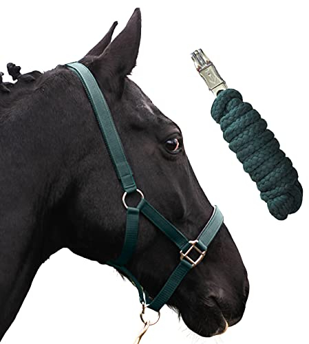 Halfter für Pferde mit Strick | Führstrick Pferd Halfter | Halfter Pony, Vollblut, Full, X-Full mit Strick (Grün, Kaltblut)