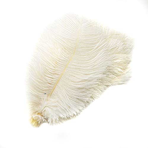 10 stycken 25–30 cm naturliga strutsfjädrar, bukettfjäder för pyssel, pysselfjädrar för gör-det-själv drömfångare tillbehör, heminredning, kostym, bordsdekoration bröllop fest fest hattar kläder dekoration, beige