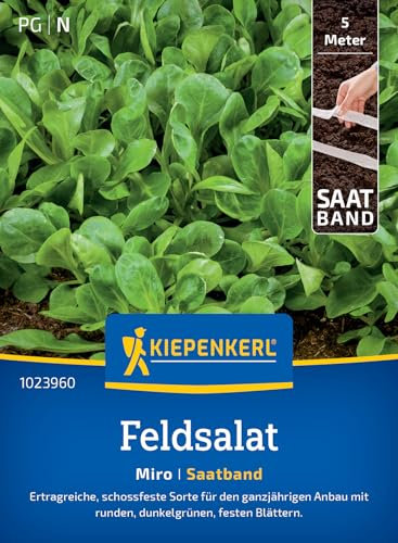 Kiepenkerl Feldsalatsamen Miro 1023960 - Schossfeste, ertragreiche Sorte für den ganzjährigen Anbau mit dunkelgrünen Blättern - Salatsamen, Saatgut, Schnittsalat
