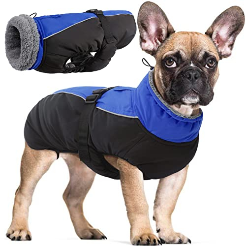 Wasserdichter Hundemantel Winter Warme Hundejacke, Hundebekleidung Outfit für kleine mittel große Hunde, Hundepullover mit Sicheren Reflexstreifen für Labrador Chihuahua Französische Bulldogge