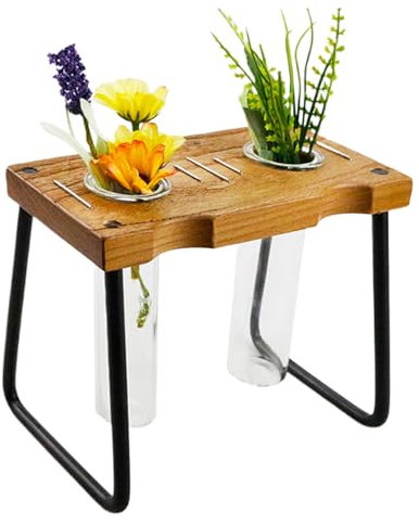 Uhngw Terrarium pour,Présentoir à Vases en Verre avec Support en Bois - Décoration Intérieure Et Accessoires De Jardinage pour Boutures De Pothos Et Fleurs