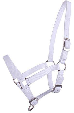 QHP Nylonhalfter Fohlen-Halfter 3fach verstellbar stark (Warmblut-Fohlen, Weiß)