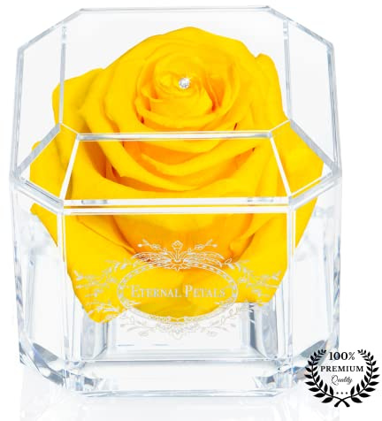 A 100% Real Rose That Lasts Years - Eternal Petals, Handmade in UK – White Gold Solo with A Clear Crystal (Yellow)
