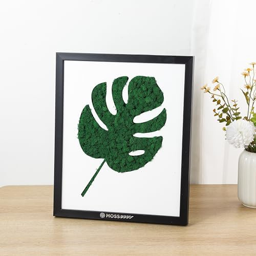Mossever Decorazione da parete in muschio naturale al 100% (foglia), deodorante naturale e purificatore d'aria, nessuna manutenzione, muschio per artigianato, forniture per terrari, verde per casa,