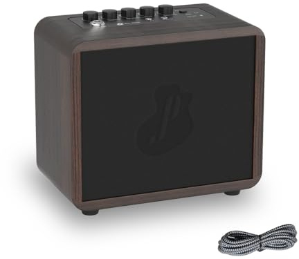 15W Mini Guitar Amp, Portable Acoustic/Electric Guitar Bass Amplifier Rechargeable, Wireless Guitar Practice Amp with Reverb, Chorus & Delay, Supports OTG, AUX, REC, Bass and Treble Control
