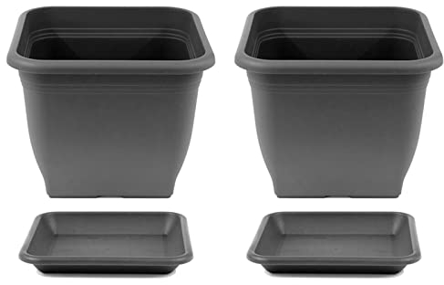 HAC24 Pflanztopf 33 x 33 cm Kunststoff incl. Untersetzer Eckig Anthrazit Pflanzkübel Pflanzuntersetzer Blumentopf Blumenkübel Pflanzcontainer (2)