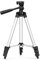 Trípode, Trípode para Proyector, Trípode Ajustable con Tornillo M6, 50 cm - 100 cm, Gris Plateado.