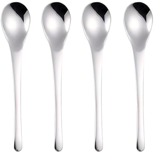 Ouliget Small Dessert Spoons,Coffee Spoons,Espresso Spoon,Ice Cream Spoons,Stainless Steel spoons,5 Inches,4 Pieces.