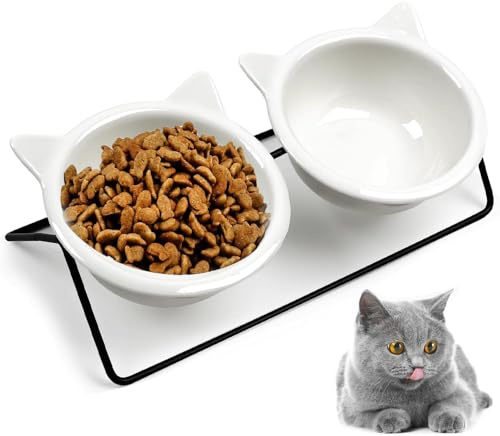 Roysmart Ciotola per cibo per gatti in ceramica, rialzata, inclinata a 15° per gatti e cani di piccola taglia, ciotola per gatti in ceramica rialzata, ciotola in ceramica rimovibile per gatti