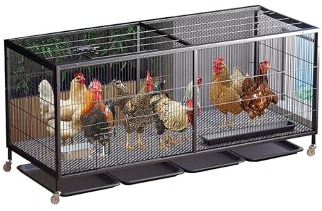 Pollaio per 1–15 Polli, Casetta Galline in Metallo Resistente, Gabbia Anti-Fuga, Recinto per Polli con Ruote, Serratura, Vassoio Estraibile(Large)