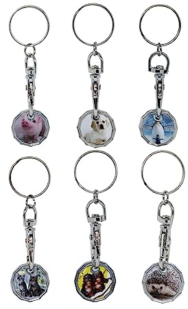 Craft 4 You Pack of 6 x Shopping Trolley Token UK Keyring £1 Coin Shape Pound Tokens Key Ring for Supermarkets Locker Gym (6 x Mixed Animals)