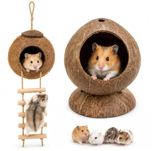 Kokosnötformat hamsterhus, 2 st hamstrar hus gömställe med bas | Kokosnöt gömställe, hamsterhus klätterstege, naturlig andas, för Hedgehog Gerbil kanin små husdjur
