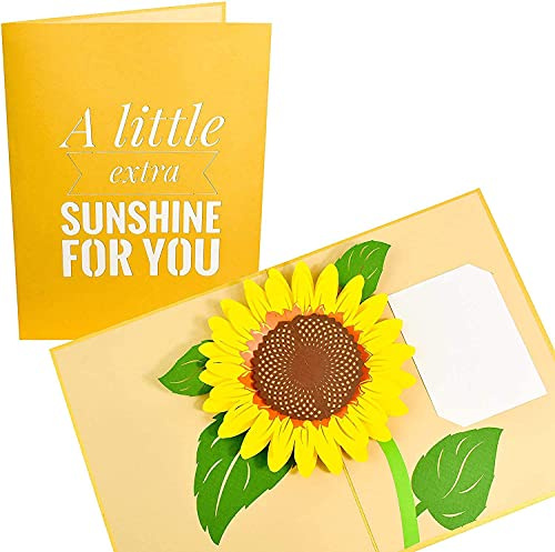 PopLife Cards madri giardino giorno pop-up carta di girasole - tutte le occasioni