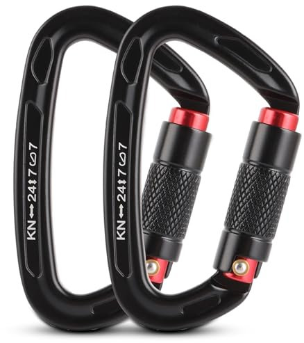 GBACHOOSE 2 Stück Kletterkarabiner, Karabinerhaken Klettern, 25KN Karabinerhaken Schwerlast für Klettern, Camping, Hängematte, Schaukel