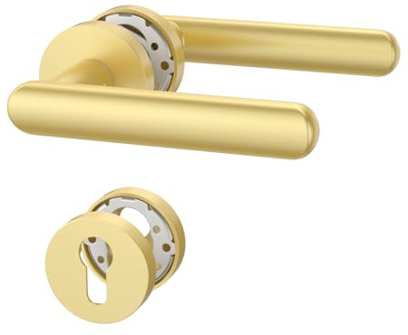 Amerdeco Poignée de Porte Dorée en Aluminium – Ensemble PZ pour Porte d’Entrée, Garniture de Poignée de Porte