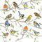 20 Servietten Treffen der SingVögel im Baum | Vögel | Tiere | Frühling | Sommer | Tischdeko 33x33cm