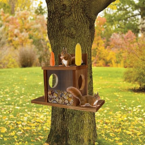 Casetta per mangimi, scoiattolo, resistente alle intemperie, con finestra rotonda, trasparente, per esterni, con fori di ventilazione per recinzione albero (finestra quadrata)