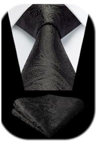 HISDERN Schwarz Paisley-Krawatte FüR Herren Formale Freizeitkrawatte Und Einstecktuch Hochzeit Beerdigung Krawatten-Sets