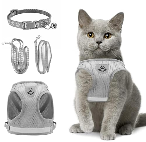Verstellbares Katzengeschirr Ausbruchsicher, Verstellbares Katzen Geschirr Mit Leine, Weichem Innenfutter Und Atmungsaktivem Mesh, Reflektierend Geschirr Set Für Outdoor Training Gehen, XS (Grau)