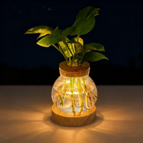 Everkeen Beleuchtete Vase Glas LED Leuchtende Blumenvase Plant Propagation Station mit Holz Basis 5 Stufen Dimmbare LED-Beleuchtung Hydroponik Pflanzen Vermehrungsstation für Wohn Büro Deko