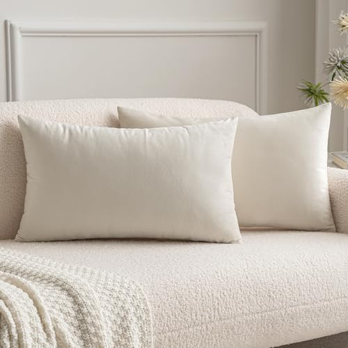 MIULEE Funda de Cojines de Terciopelo Cojines de Sofá Funda de Almohada Decorativo para Silla Cama Habitación Dormitorio Salón Sala de Estar Oficina 2 Piezas 30x50 cm Blanco Crema