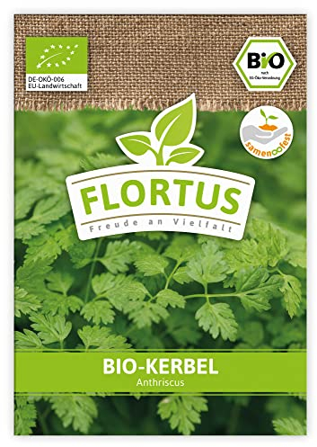 FLORTUS BIO Kerbel | Kräutersamen | Kerbelsamen | Bio Saatgut aus Pflanzensamen | Samen zur Anzucht für Garten, Balkon, Küche & Fensterbank