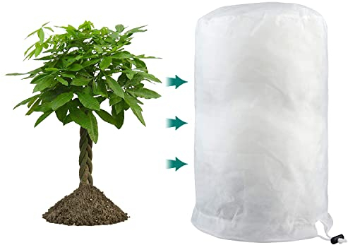 PHUSTJKL Winterschutz für Pflanzen 80x100cm Winterschutz für Kübelpflanzen Frostschutz, Atmungsaktiv Wiederverwendbar Pflanzenschutzhaube mit Zugband für Balkonpflanzen-Weiß, 1 Stücke