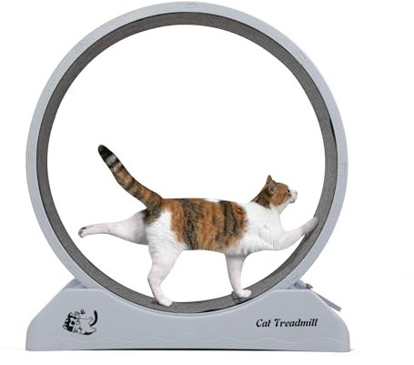 Große Katzenlaufband Kleines Tier-Ausdauerrad mit Sperrmechanismus Rutschschutzteppich Katzenlockvogel, Innenlaufrad