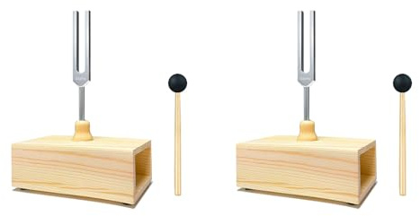 Reinscer 2 x 432 Hz stämgaffel med resonanslåda, för ljudläkning, stämgaffelresonanskolektioner, hörtester, meditation