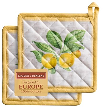 Maison d' Hermine Pot Holders 100% Cotton Potholders (20 x20 cm, Pack of 2)
