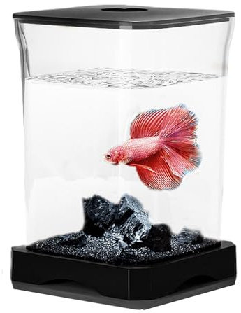 Betta Fish Tank – Table d'aquarium | Nano réservoir de combattant, blanc, avec filtre intégré, petit kit de démarrage pour poissons Betta avec lampe LED rectangulaire pour décoration de table