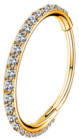 OUFER Gold Hinged Segment Earring Hoop 20G Stainless Steel with Cartilage Earrings Clear CZ Paved Tragus Helix Earrings Cartilage Earring Septum Nose Ring Hoop