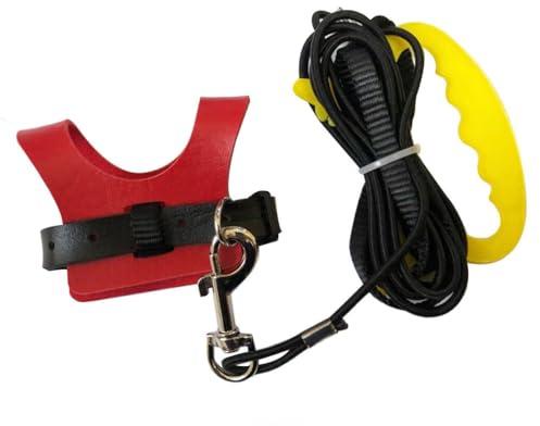Harnais en corde réglable pour perroquet, gilet en cuir synthétique, longue laisse d'oiseau portable amovible