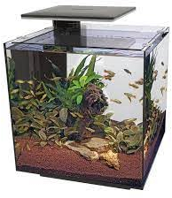 Superfish Qubiq Pro 60 Liter Aquarium schwarz