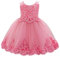 Lito Angels Robe Demoiselle d'honneur Ceremonie Mariage Noël pour Bebe Filles Broderie Taille 6-12 Mois, Rose (Étiquette en Tissu 80)