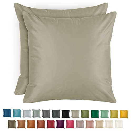 Blumtal 2er Set Kissenbezug 50x50 cm Taupe - dekorativer Samt Kissenbezug mit verstecktem Reißverschluss, Kissenhülle für Zierkissen Deko-Kissen Polster Sofakissen & Couchkissen, waschbar