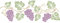 Weinrebenschablone – 35,5 x 12,5 cm (S) – Wiederverwendbare Schablone für Obst und Gemüse