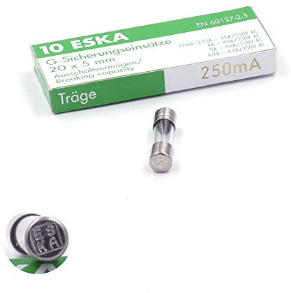 Temporiserad (T) glassäkring 250 mA/250 VAC 5 x 20 mm (10 säkringar)