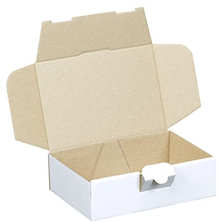 100 Maxibriefkartons 160 x 110 x 50 mm weiß (100 Stück) Maxibrief Versandkarton Warensendung