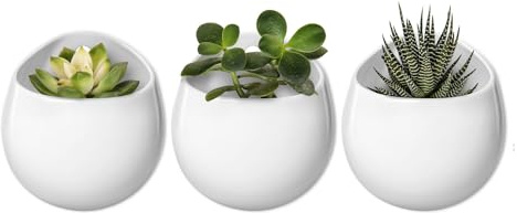 Mkono 4 Inch Wall Mounted Planter Round Ceramic Hanging Plant Holder Decorative Flower Display Vase Succulent Pots for Indoor Plants, Set of 3, White (Plants NOT Included)