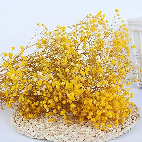 YIWOYI Bouquet di fiori secchi naturali, Gypsophila paniculata, ideali per feste di nozze o decorazione della casa, 15-30 cm, 20 g, giallo