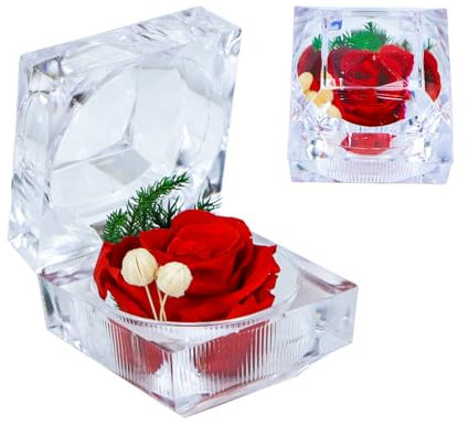 Qaixwuyi Konservierte Rose Echte Forever Rose Mini Clear Ring Box Ewige Blume Rose Geschenke für Frauen Mama Freundin Oma Muttertag Jahrestag Valentinstag Weihnachten Geburtstag Rosa